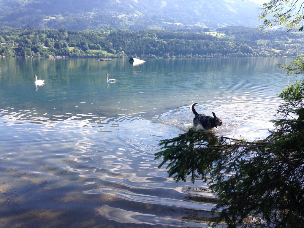 Ruhige Wohnung Mit Schoenem Eigengarten In Seeboden Am Millstaettersee Rum bild