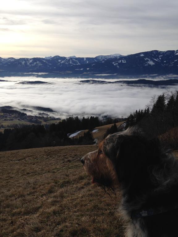 Ruhige Wohnung Mit Schoenem Eigengarten In Seeboden Am Millstaettersee Exteriör bild