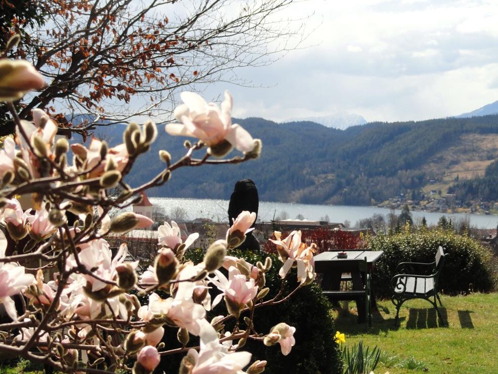 Ruhige Wohnung Mit Schoenem Eigengarten In Seeboden Am Millstaettersee Exteriör bild