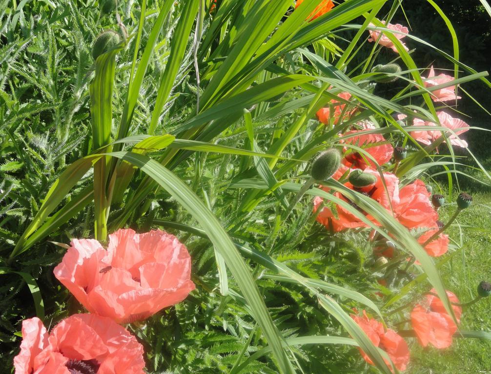 Ruhige Wohnung Mit Schoenem Eigengarten In Seeboden Am Millstaettersee Exteriör bild