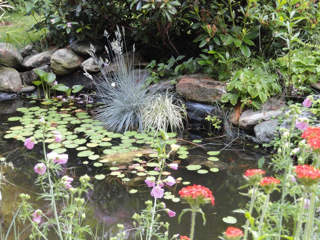 Ruhige Wohnung Mit Schoenem Eigengarten In Seeboden Am Millstaettersee Exteriör bild